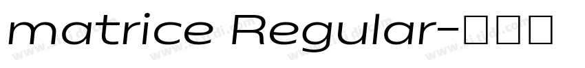 matrice Regular字体转换